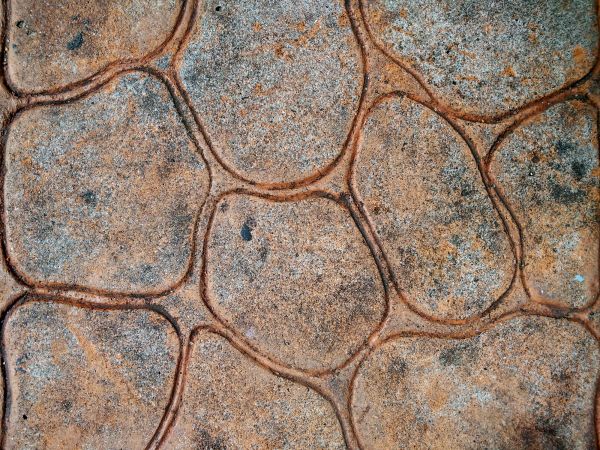 Stamped Concrete Replacement in Windsor