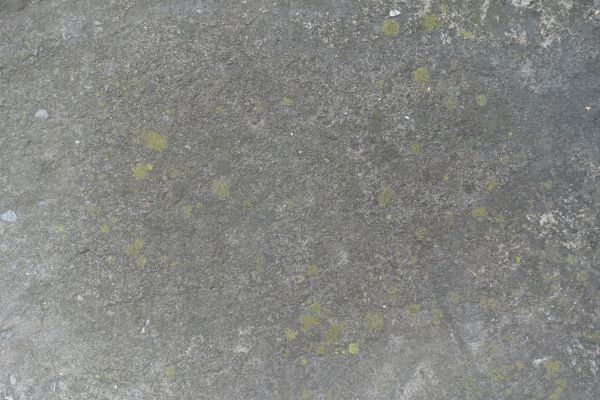 Slab Staining Service in Windsor